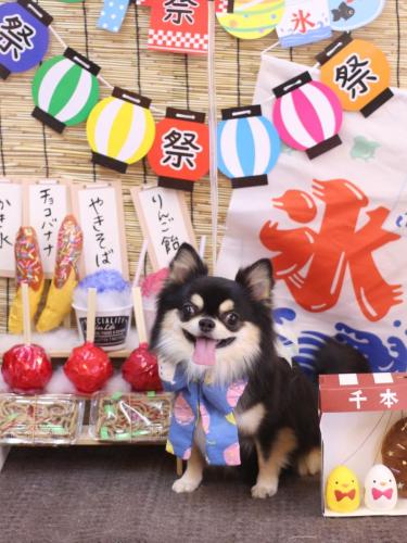 20240709ボスくん